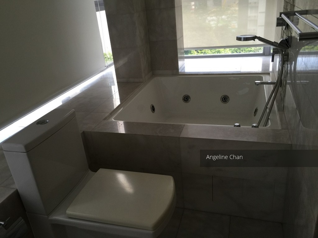Angullia Park Residences @ Orchard (D10), Apartment #110948602